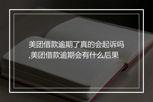 美团借款逾期了真的会起诉吗,美团借款逾期会有什么后果