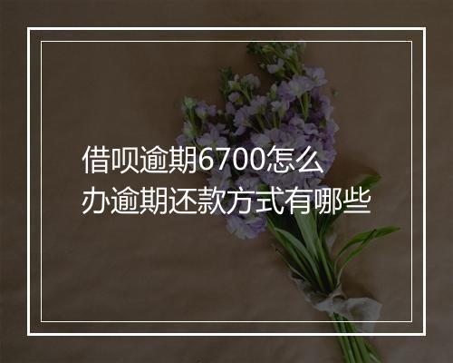 借呗逾期6700怎么办逾期还款方式有哪些
