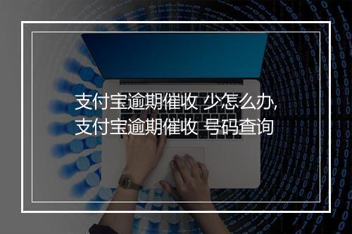 支付宝逾期催收 少怎么办,支付宝逾期催收 号码查询