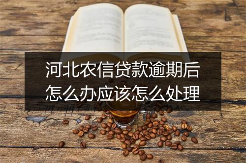 河北农信贷款逾期后怎么办应该怎么处理