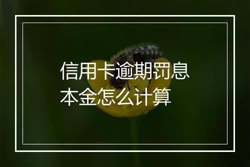 信用卡逾期罚息本金怎么计算