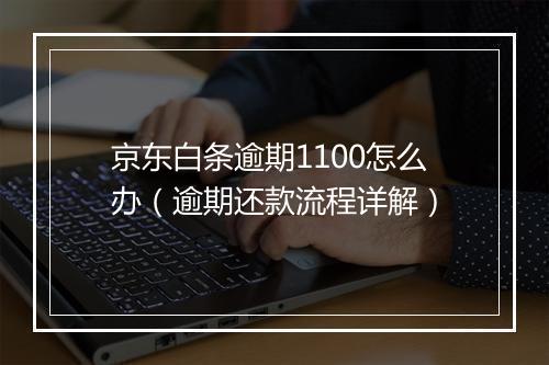 京东白条逾期1100怎么办（逾期还款流程详解）
