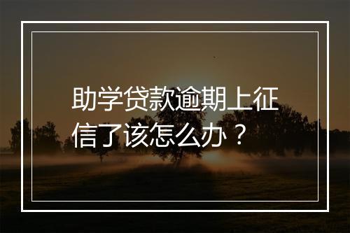 助学贷款逾期上征信了该怎么办？