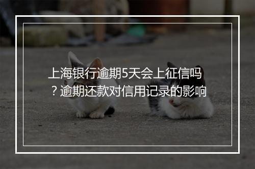 上海银行逾期5天会上征信吗？逾期还款对信用记录的影响