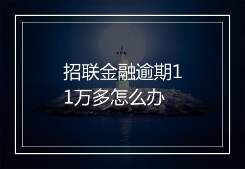 招联金融逾期11万多怎么办