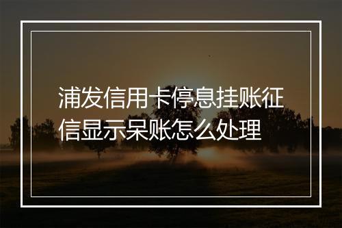 浦发信用卡停息挂账征信显示呆账怎么处理