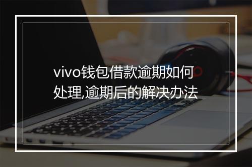 vivo钱包借款逾期如何处理,逾期后的解决办法