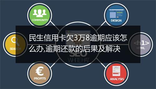 民生信用卡欠3万8逾期应该怎么办,逾期还款的后果及解决