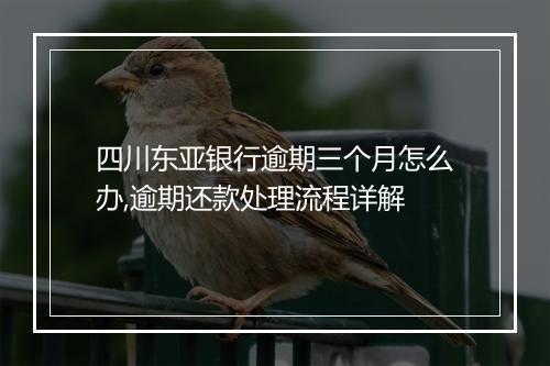 四川东亚银行逾期三个月怎么办,逾期还款处理流程详解