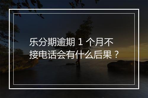 乐分期逾期 1 个月不接电话会有什么后果？