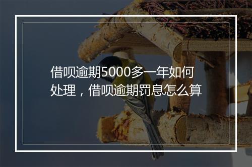 借呗逾期5000多一年如何处理，借呗逾期罚息怎么算