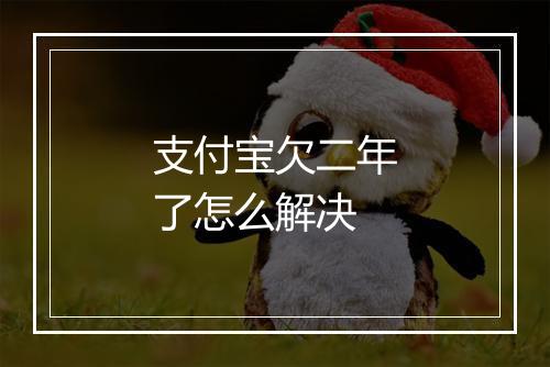 支付宝欠二年了怎么解决