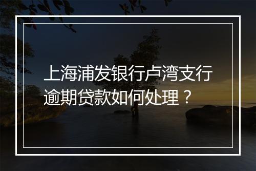 上海浦发银行卢湾支行逾期贷款如何处理？