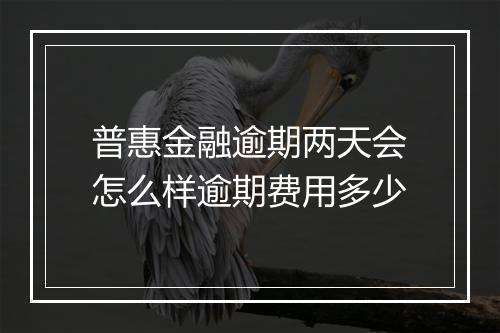 普惠金融逾期两天会怎么样逾期费用多少