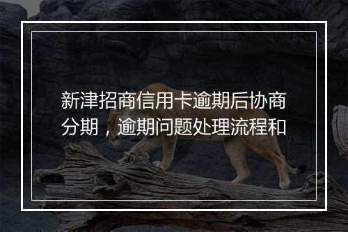 新津招商信用卡逾期后协商分期，逾期问题处理流程和