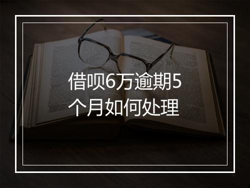 借呗6万逾期5个月如何处理