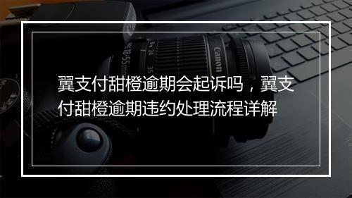 翼支付甜橙逾期会起诉吗，翼支付甜橙逾期违约处理流程详解