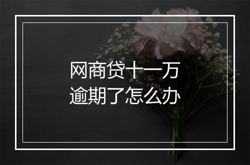网商贷十一万逾期了怎么办