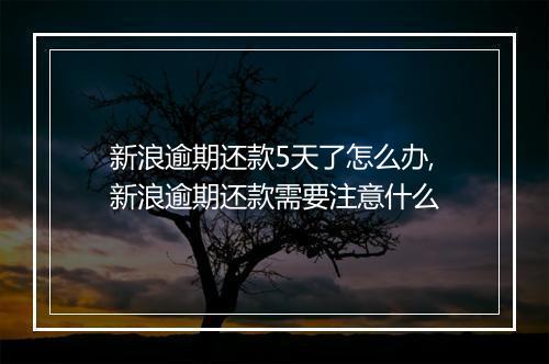 新浪逾期还款5天了怎么办,新浪逾期还款需要注意什么
