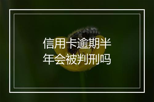 信用卡逾期半年会被判刑吗