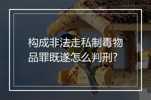 构成非法走私制毒物品罪既遂怎么判刑?