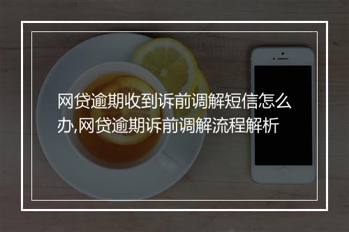 网贷逾期收到诉前调解短信怎么办,网贷逾期诉前调解流程解析