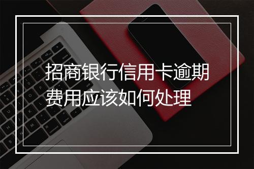 招商银行信用卡逾期费用应该如何处理