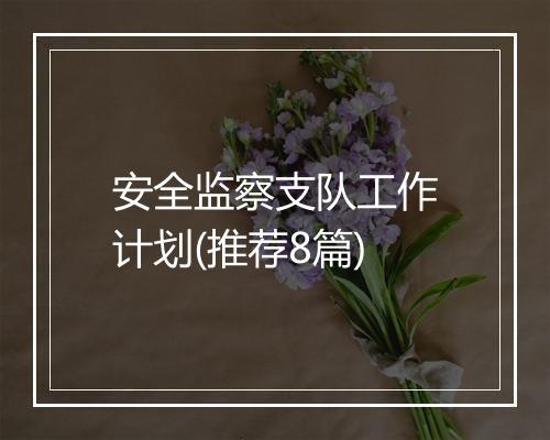安全监察支队工作计划(推荐8篇)