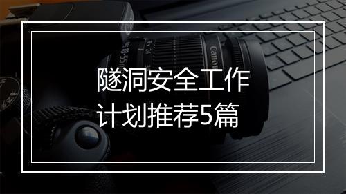 隧洞安全工作计划推荐5篇