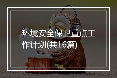 环境安全保卫重点工作计划(共16篇)