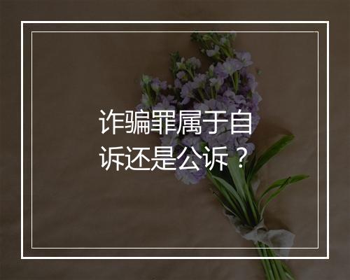 诈骗罪属于自诉还是公诉？