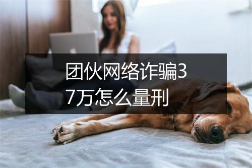 团伙网络诈骗37万怎么量刑