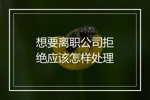 想要离职公司拒绝应该怎样处理