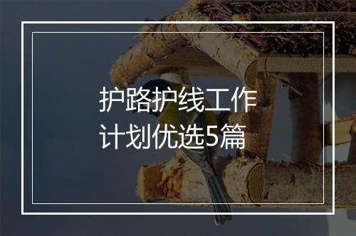护路护线工作计划优选5篇