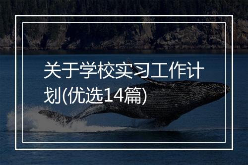 关于学校实习工作计划(优选14篇)