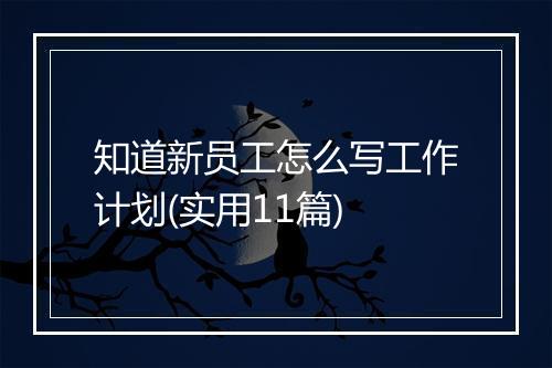 知道新员工怎么写工作计划(实用11篇)