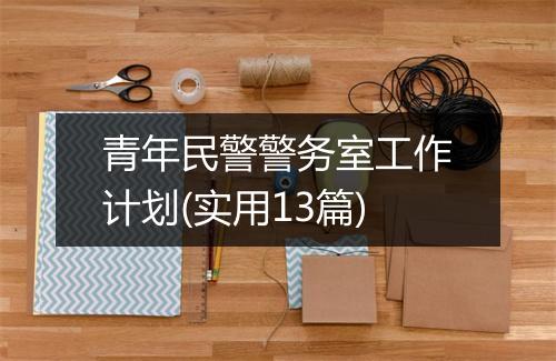 青年民警警务室工作计划(实用13篇)