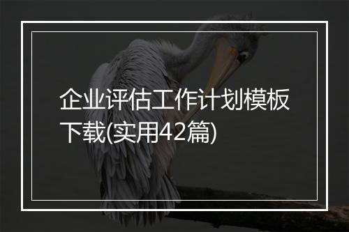 企业评估工作计划模板下载(实用42篇)