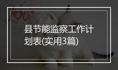 县节能监察工作计划表(实用3篇)