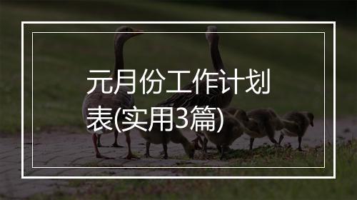 元月份工作计划表(实用3篇)