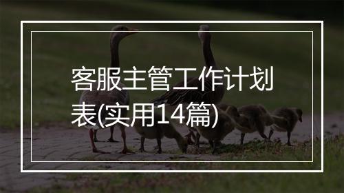 客服主管工作计划表(实用14篇)