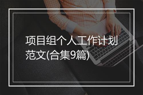 项目组个人工作计划范文(合集9篇)