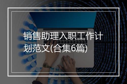 销售助理入职工作计划范文(合集6篇)