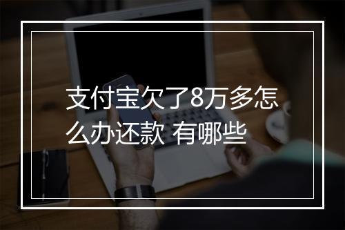 支付宝欠了8万多怎么办还款 有哪些