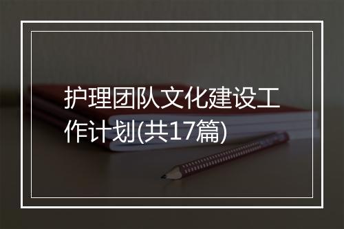 护理团队文化建设工作计划(共17篇)