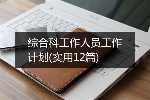 综合科工作人员工作计划(实用12篇)