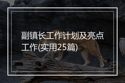 副镇长工作计划及亮点工作(实用25篇)