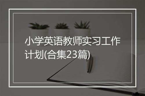 小学英语教师实习工作计划(合集23篇)