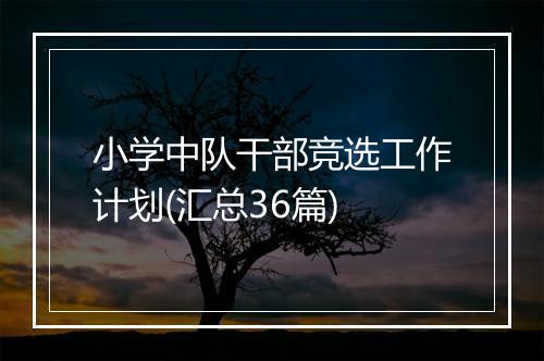 小学中队干部竞选工作计划(汇总36篇)