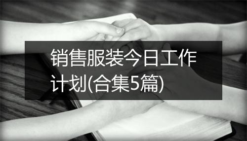 销售服装今日工作计划(合集5篇)